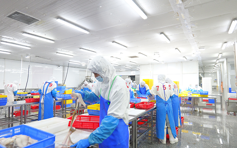 冷冻鱼的保存方法至关重要